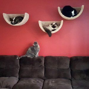 Wall mounted cat bed